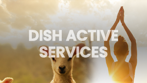 activeservice-mobile-banner